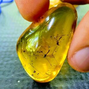 Live the Jungle in Los Haitises Waterfalls Yanigua