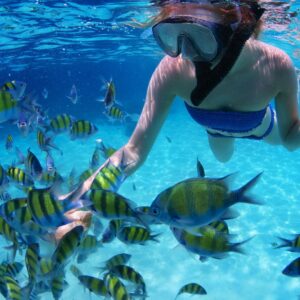 Four Adventures: Parasailing, Snorkeling Cruise, Sharks & Rays in Natural Pools from Punta Cana