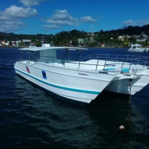 Private Catamaran Samaná Bay - Felipe 2